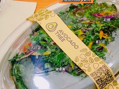 -油梨树AVOCADO TREE(望京店)