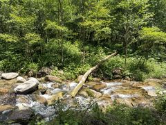 -玉渡山自然风景区