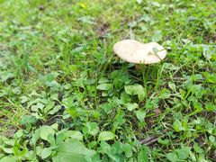 -硗碛藏寨·神木垒景区