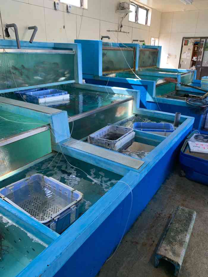 マルケイ鲜鱼店-"海鲜种类很多,可以外带也可以堂吃,虽然堂.