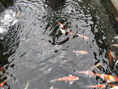 -顺德了能馆(虎门店)