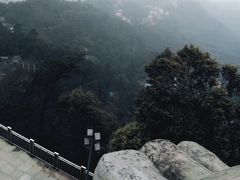 -南山植物园