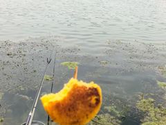 -天津东丽湖风景区