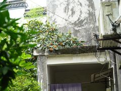 -丝绸小镇荻港古村