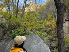 -大岭沟猕猴桃谷风景区