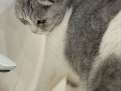 -共舞时光猫咖·狗咖(新街口店)