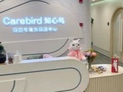 -知心鸟·注意力多动·情绪冲动·感统失调发育迟缓(五角场万达广场店)