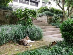 -法云安缦酒店
