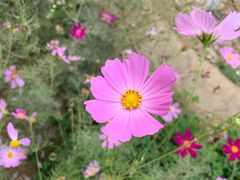 -回龙观体育文化公园