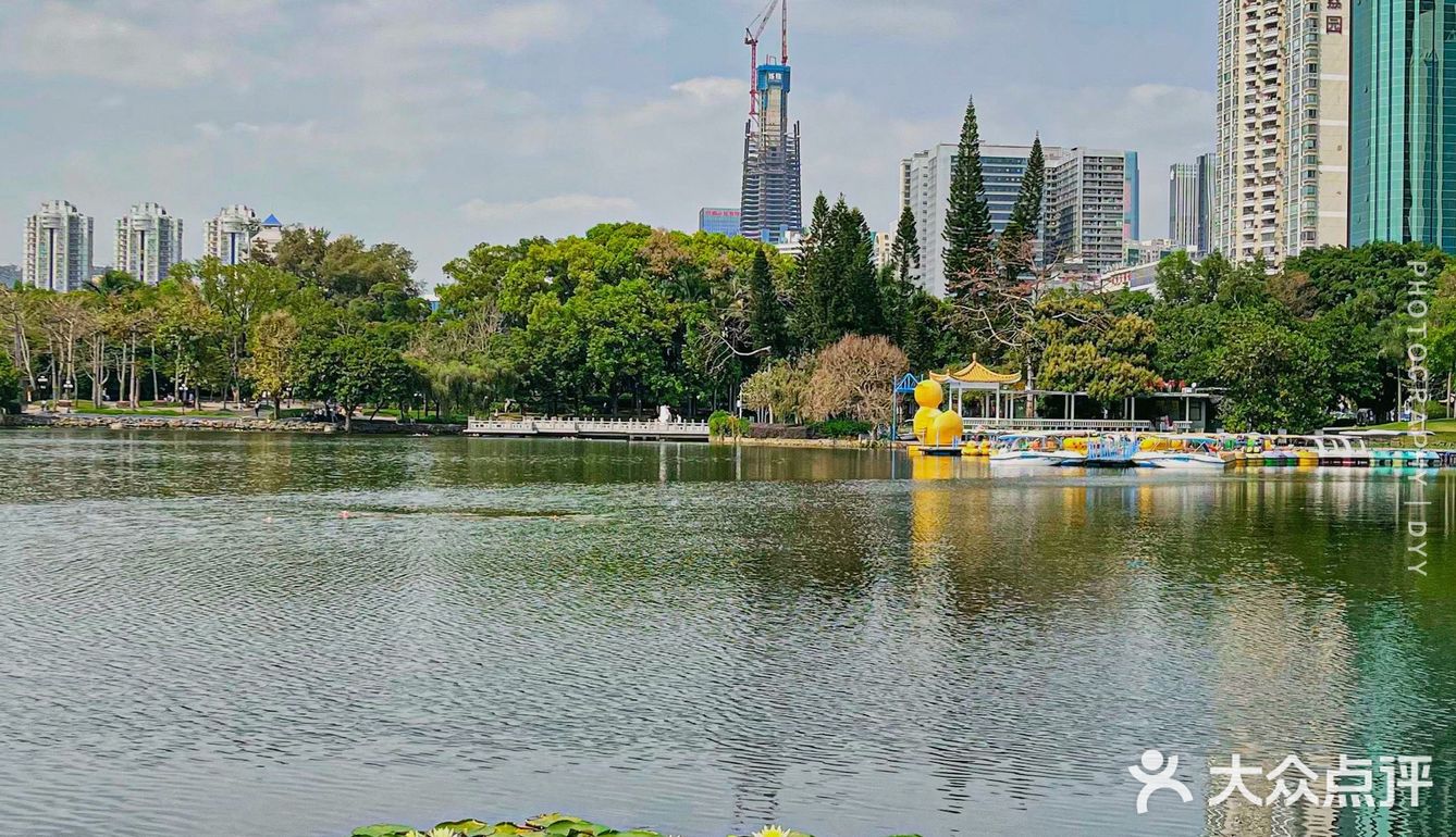 深圳假期出遊讓荔枝公園贈你整日樂趣05