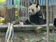 -大连森林动物园