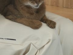 -小小班私人影院·猫咖(万达茂广场店)