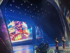 -重庆国际马戏城
