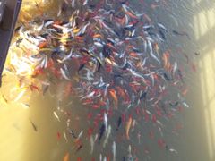 iphone_upload_pic-世界恐龙谷景区