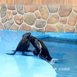 桂林融创准备开业啦！抢先先来体验一下