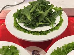 -瑞安辰茂阳光酒店自助餐