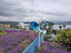 -阳宗海湿地