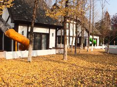 -太阳岛度假酒店