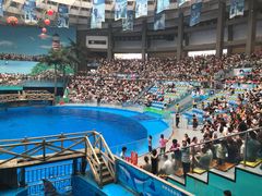 -海合安成都极地海洋公园