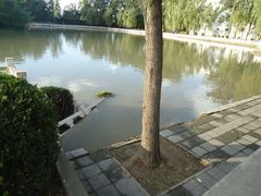 大雨造成的塌方-西海子公园