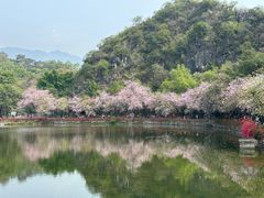 -星湖旅游景区七星岩