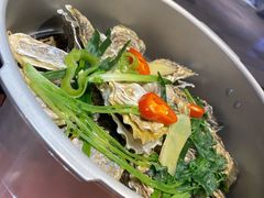 -千岛蚝高压锅生蚝·人参火锅(白云万达店)