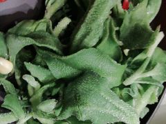-希尔顿逸林酒店·中餐厅