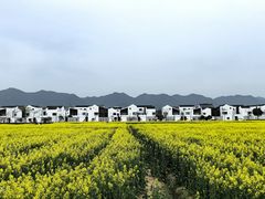 -东梓关景区村庄