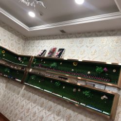 -圣婕美甲美睫皮肤管理