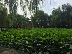 -四川大学(望江校区)