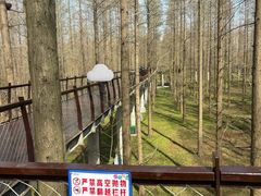 -黄海国家森林公园