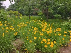 -洛阳市隋唐城遗址植物园