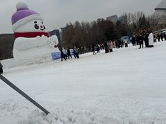 -沈阳奥体冰雪嘉年华