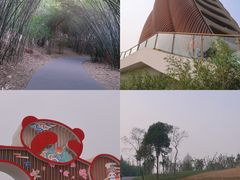 -成都大熊猫繁育研究基地