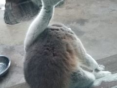 -鄂尔多斯野生动物园