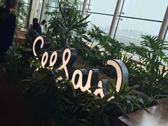 -Seesaw Coffee(朝阳大悦城店)