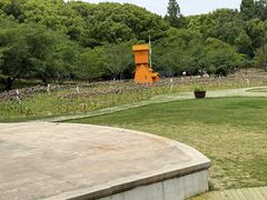 -苏州上方山国家森林公园