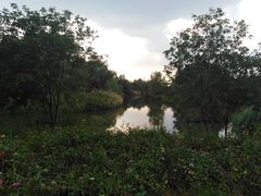 -梁鸿国家湿地公园