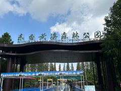 -黄海国家森林公园