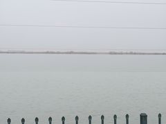 -江滩湿地公园