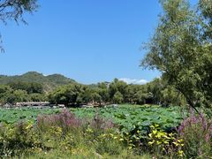 -承德避暑山庄景区