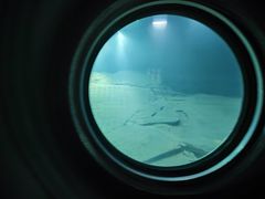 -白鹤梁水下博物馆