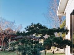 -九献创意菜·牛排馆(亮马河花园店)