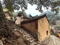 -杨家堂村