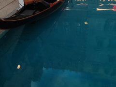 -澳门威尼斯人综合度假区