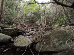 -梧桐山风景名胜区