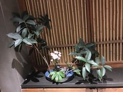 -竹里馆 ·茶食(奥体店)