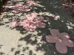 -高东镇樱花园