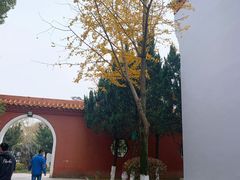 -南岳衡山风景名胜区-南岳大庙