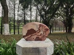 -东莞植物园
